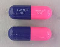 amoxil pill